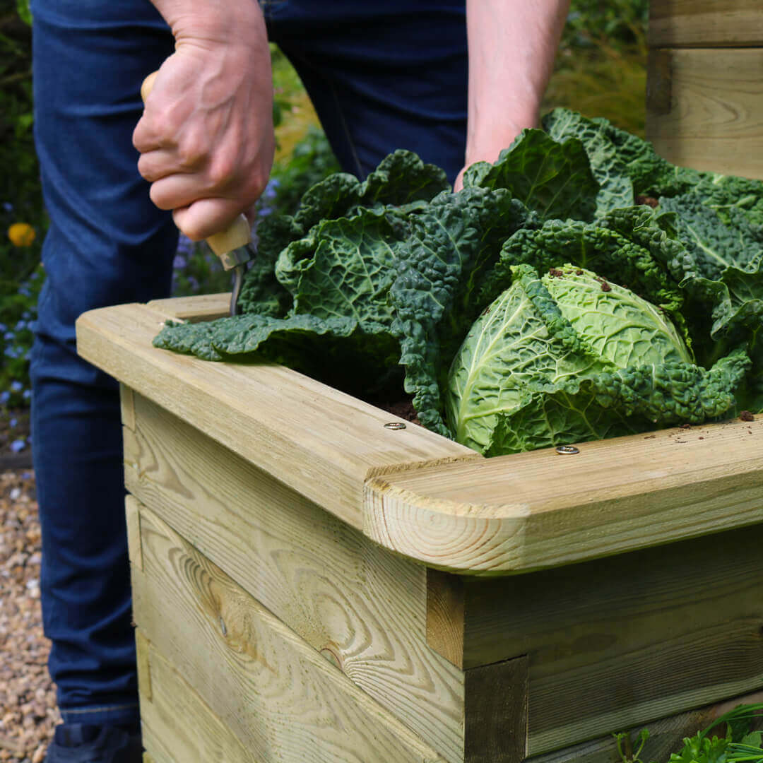 4 Tier Raised Bed
