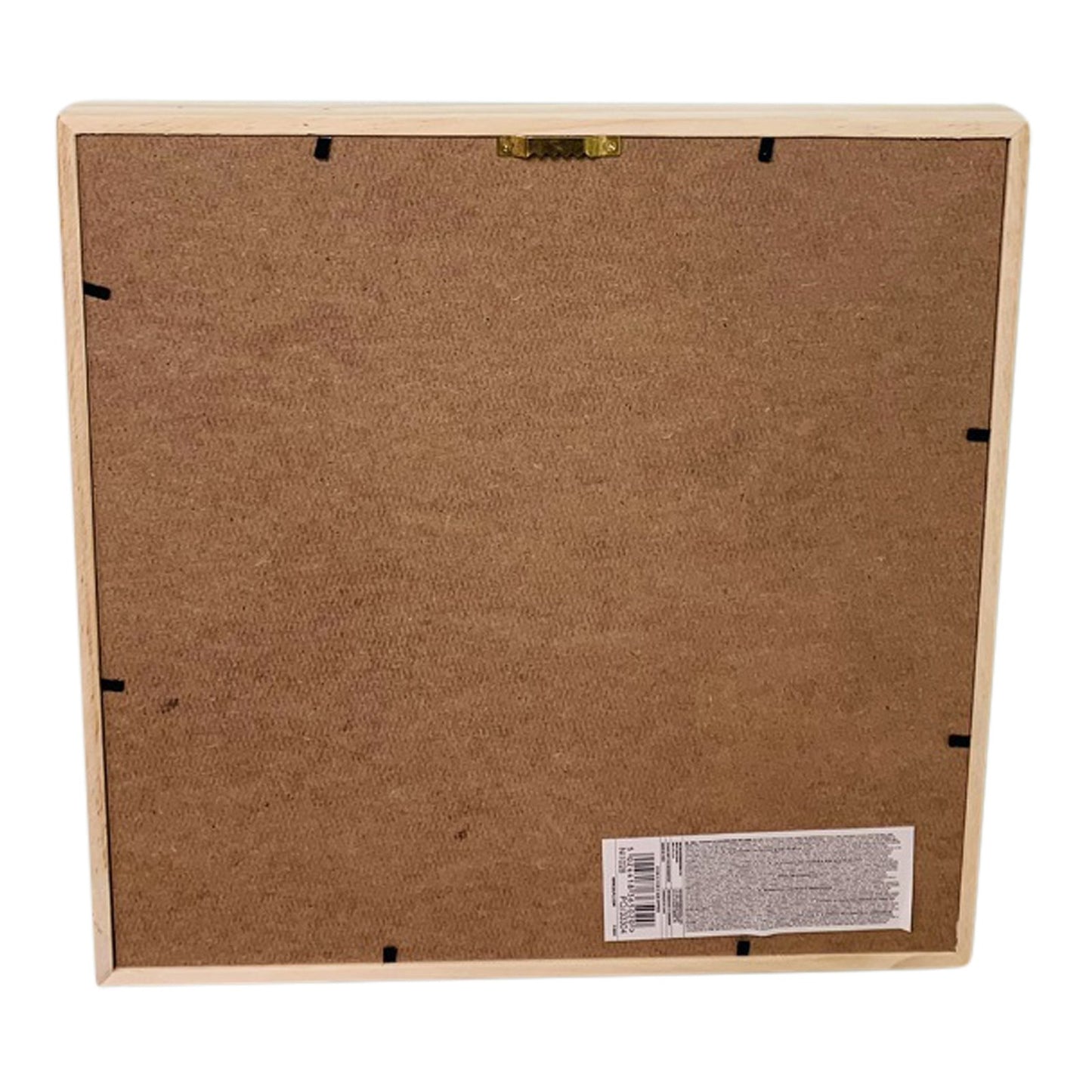 White Pampas In Square Frame 31cm