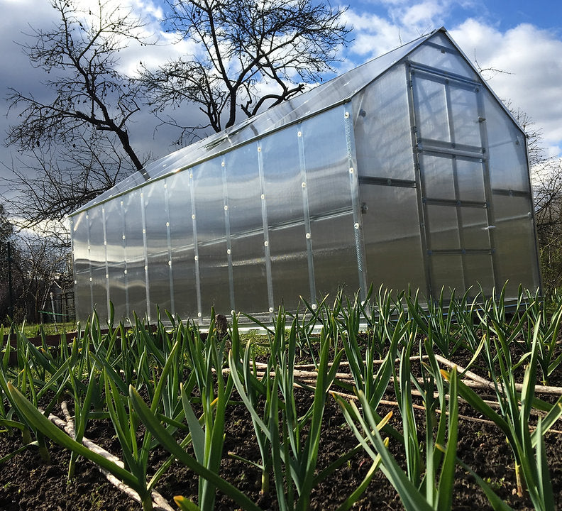 The House Polycarbonate Greenhouse