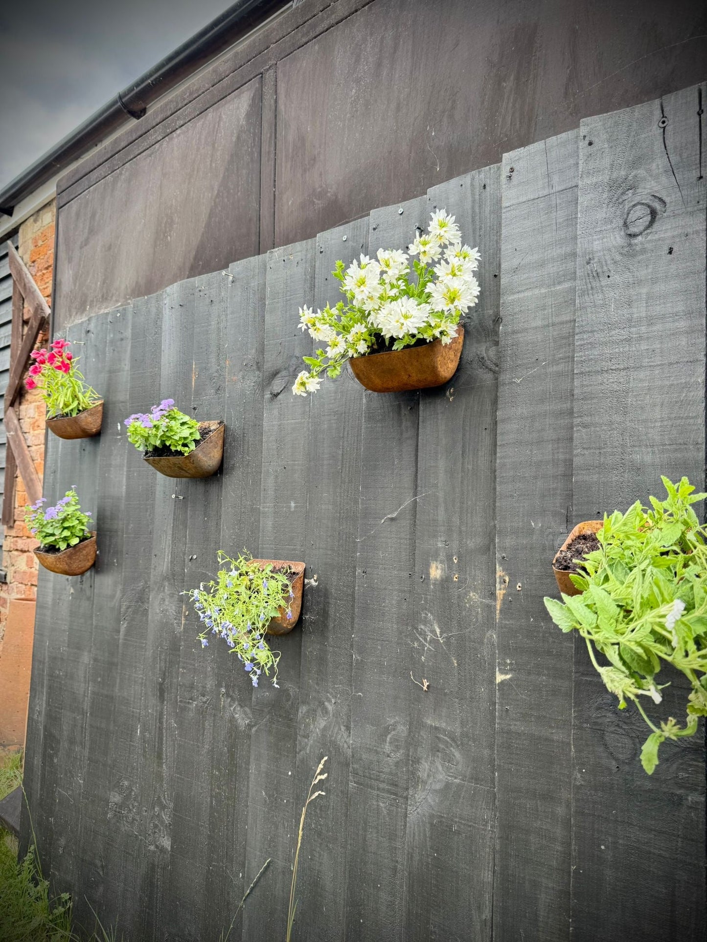 Vintage Rusty Metal Wall Mounted Planter / Herb Planter Plant Pot Fence Display