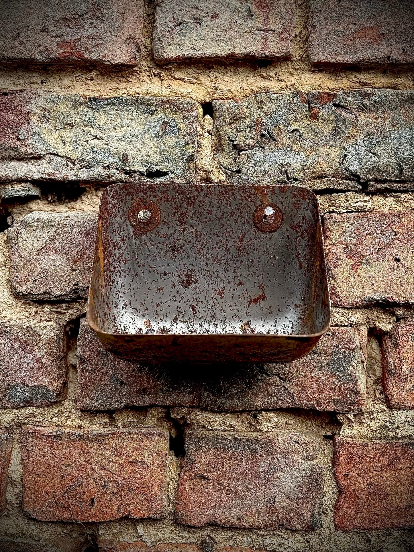 Vintage Rusty Metal Wall Mounted Planter / Herb Planter / Plant Pot / Key Holder