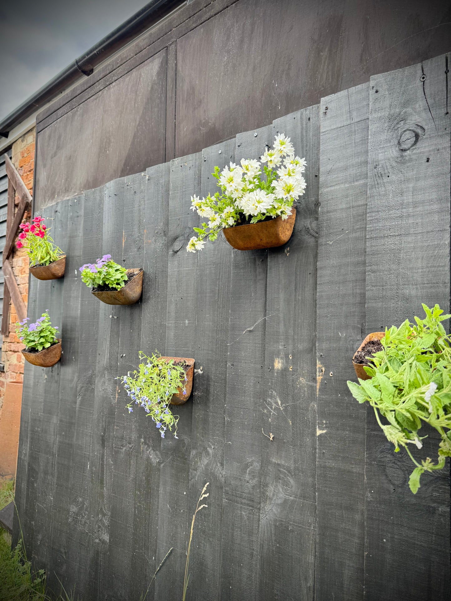 Vintage Rusty Metal Wall Mounted Planter / Herb Planter / Plant Pot / Key Holder