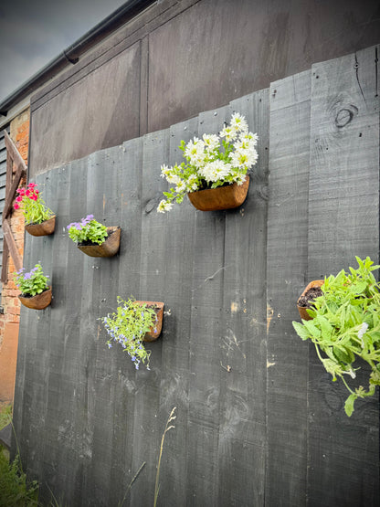 Vintage Rusty Metal Wall Mounted Planter / Herb Planter / Plant Pot / Key Holder