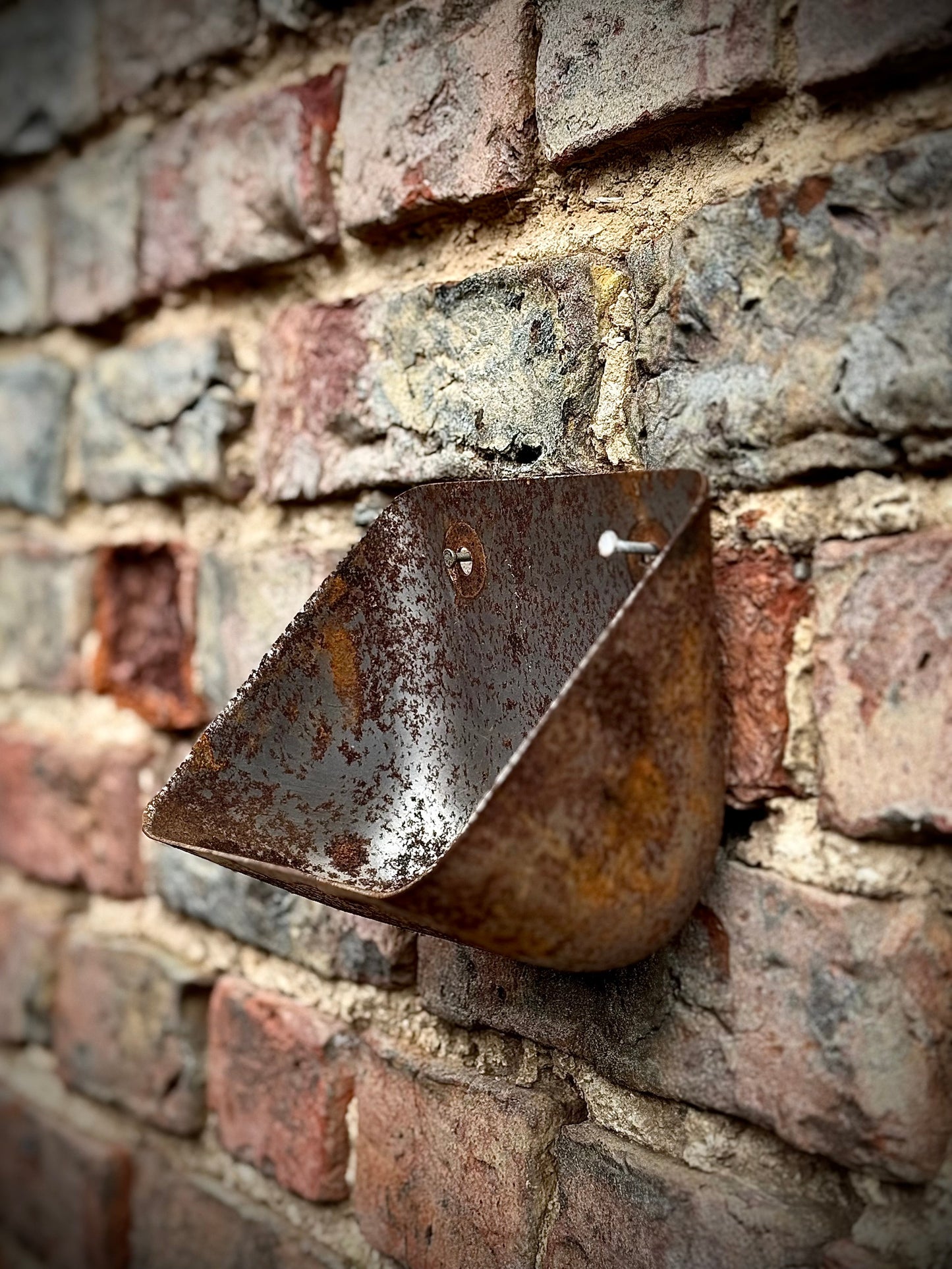 Vintage Rusty Metal Wall Mounted Planter / Herb Planter / Plant Pot / Key Holder