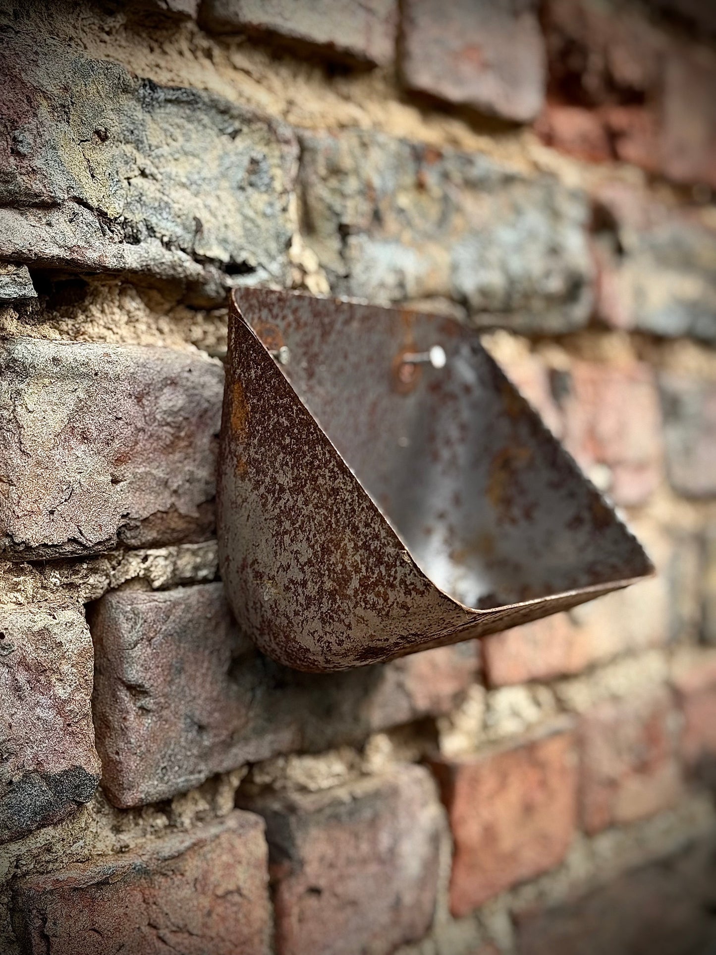 Vintage Rusty Metal Wall Mounted Planter / Herb Planter / Plant Pot / Key Holder