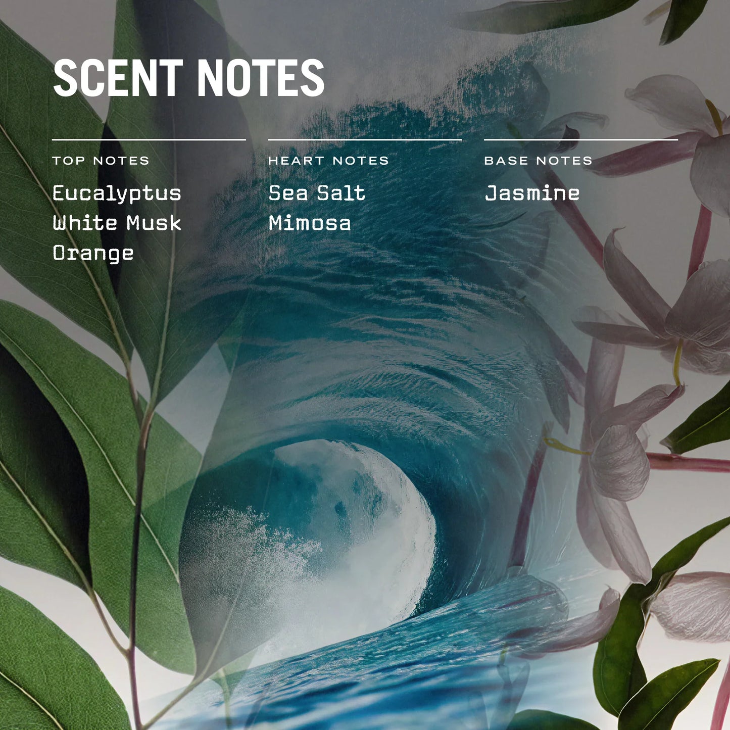 Cape Breeze 250g Scented Soy Candle