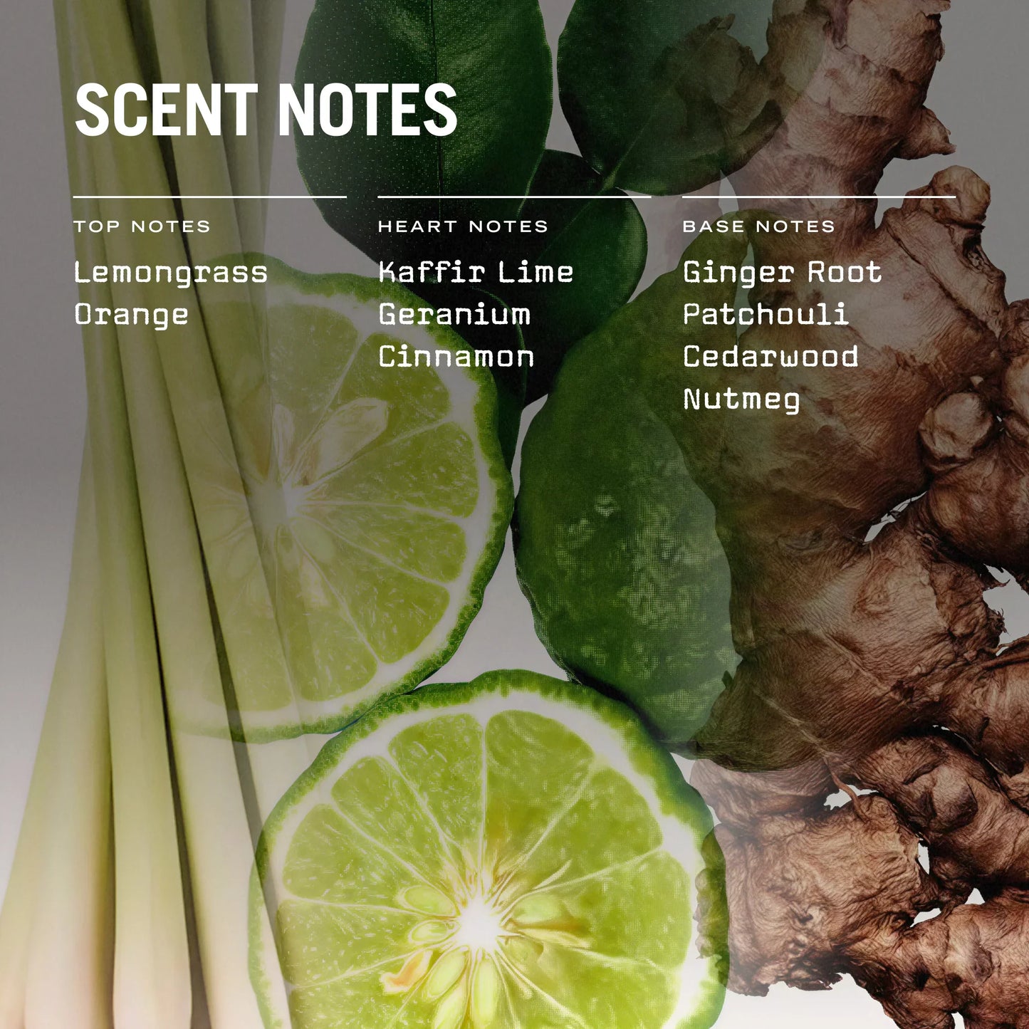 Eastern Garden 250g Scented Soy Candle Refill