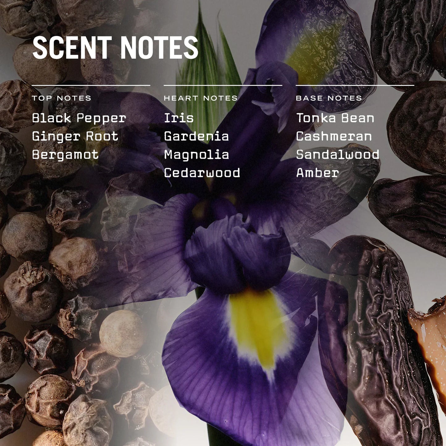 Firenze Leather 250g Scented Soy Candle