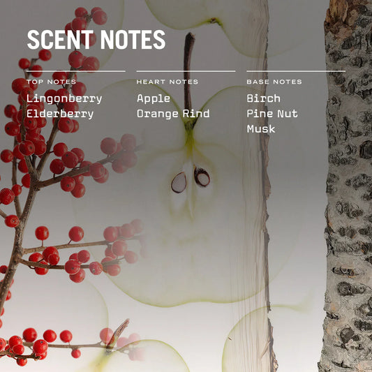 Lingonberry 100ml Reed Diffuser