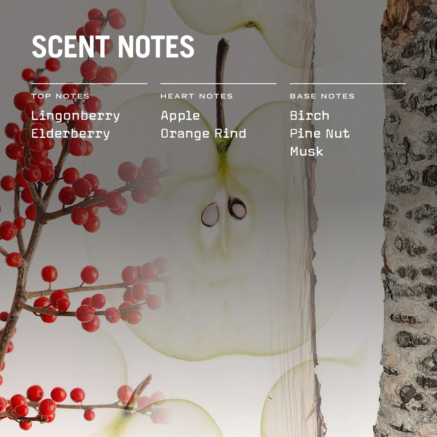 Lingonberry 250g Scented Soy Candle