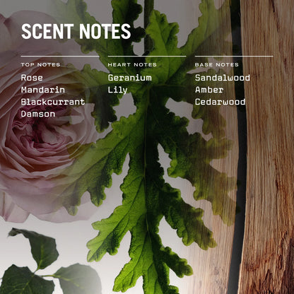 Medina Rose 250g Scented Soy Candle