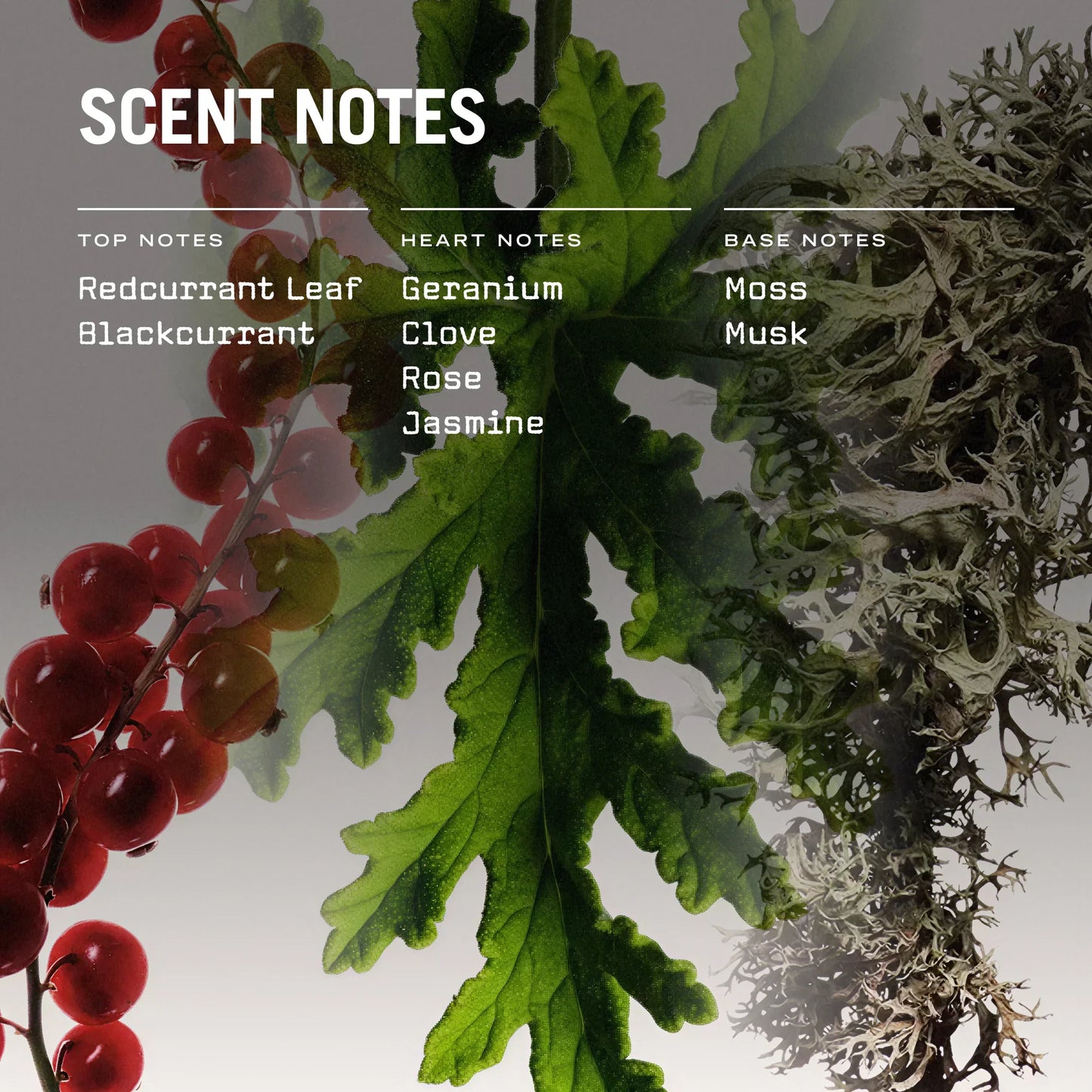 Red Lake 250g Scented Soy Candle