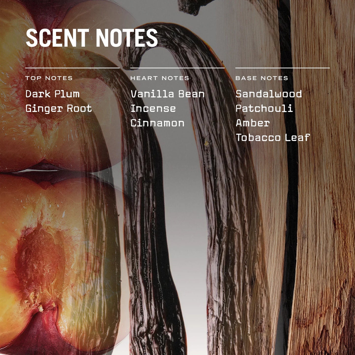 San Marco 100ml Reed Diffuser