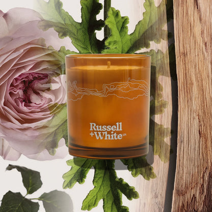 Medina Rose 250g Scented Soy Candle