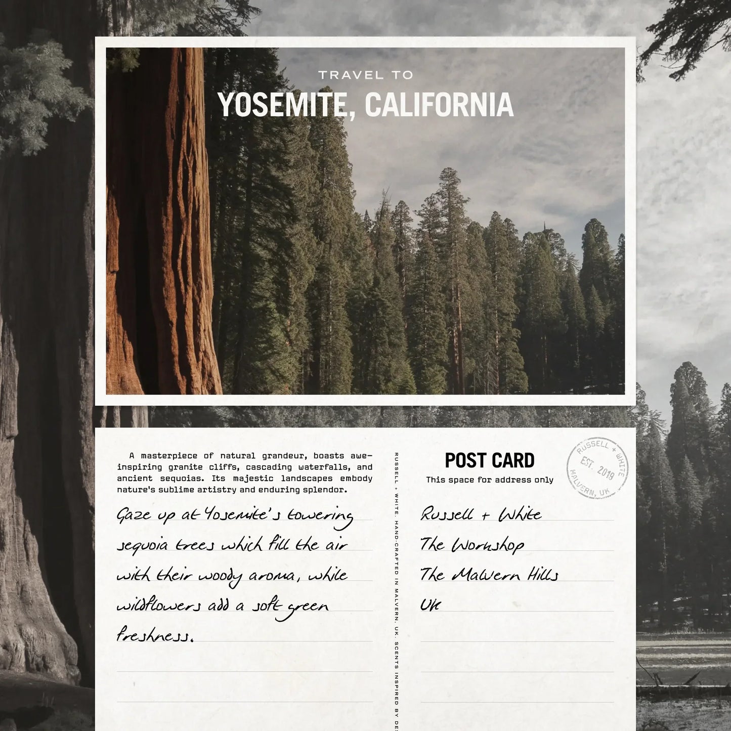 Sequoia 250g Scented Soy Candle