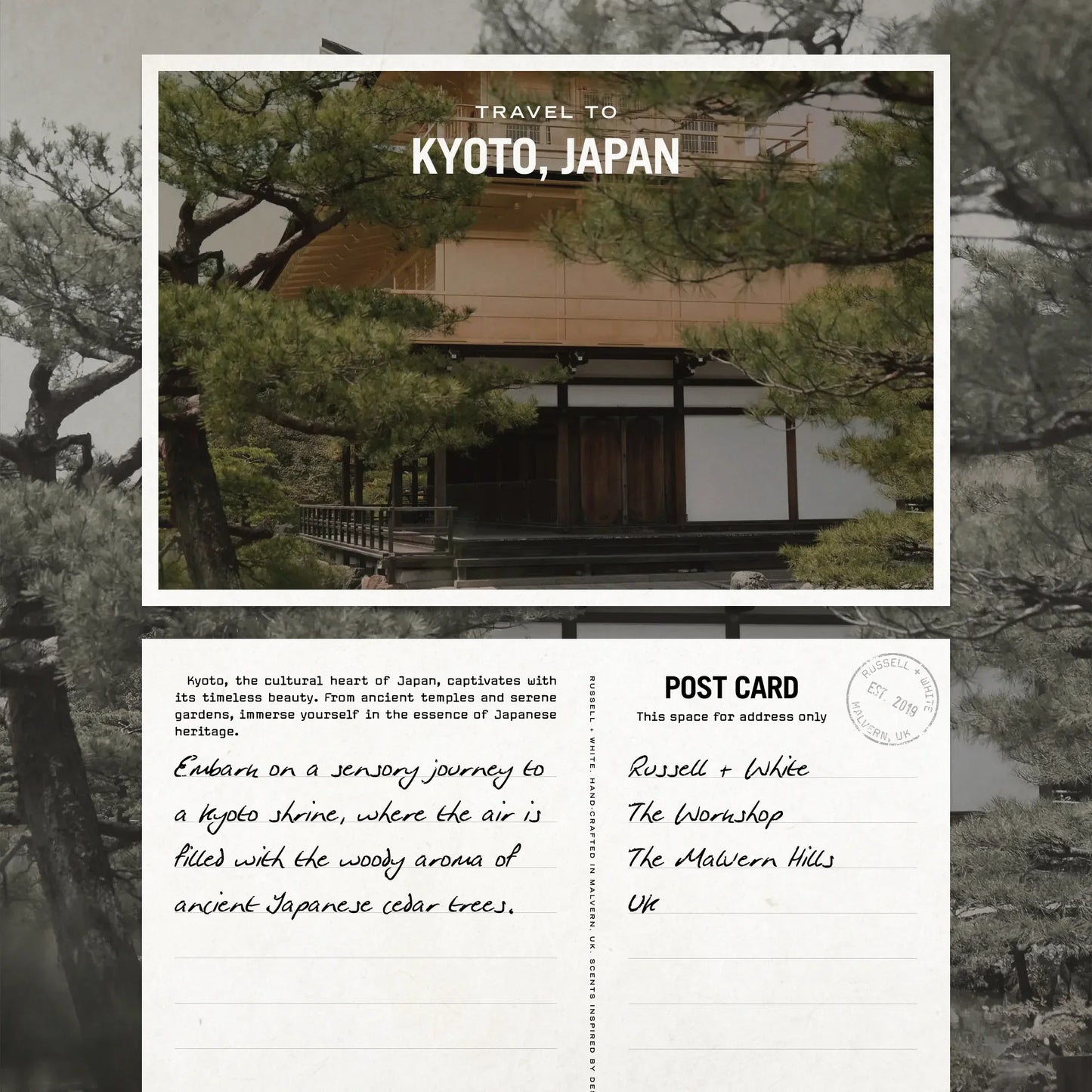 Sugi 100ml Reed Diffuser