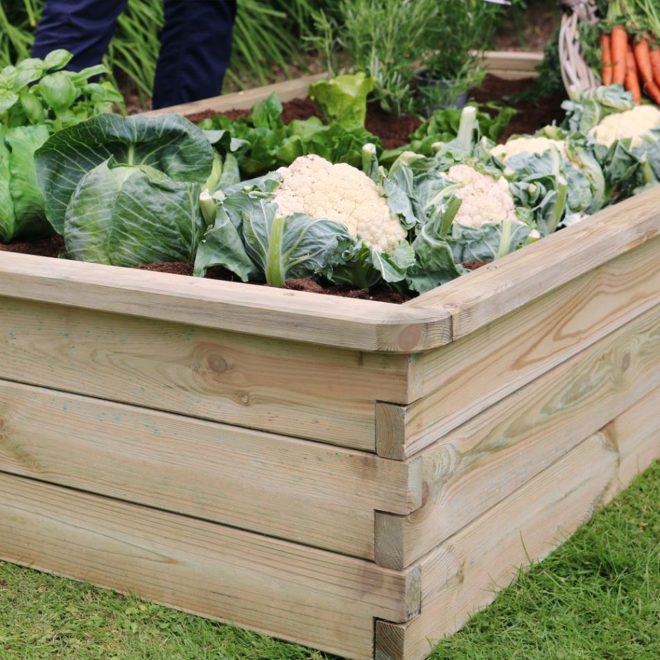 Low Sleeper Raised Bed