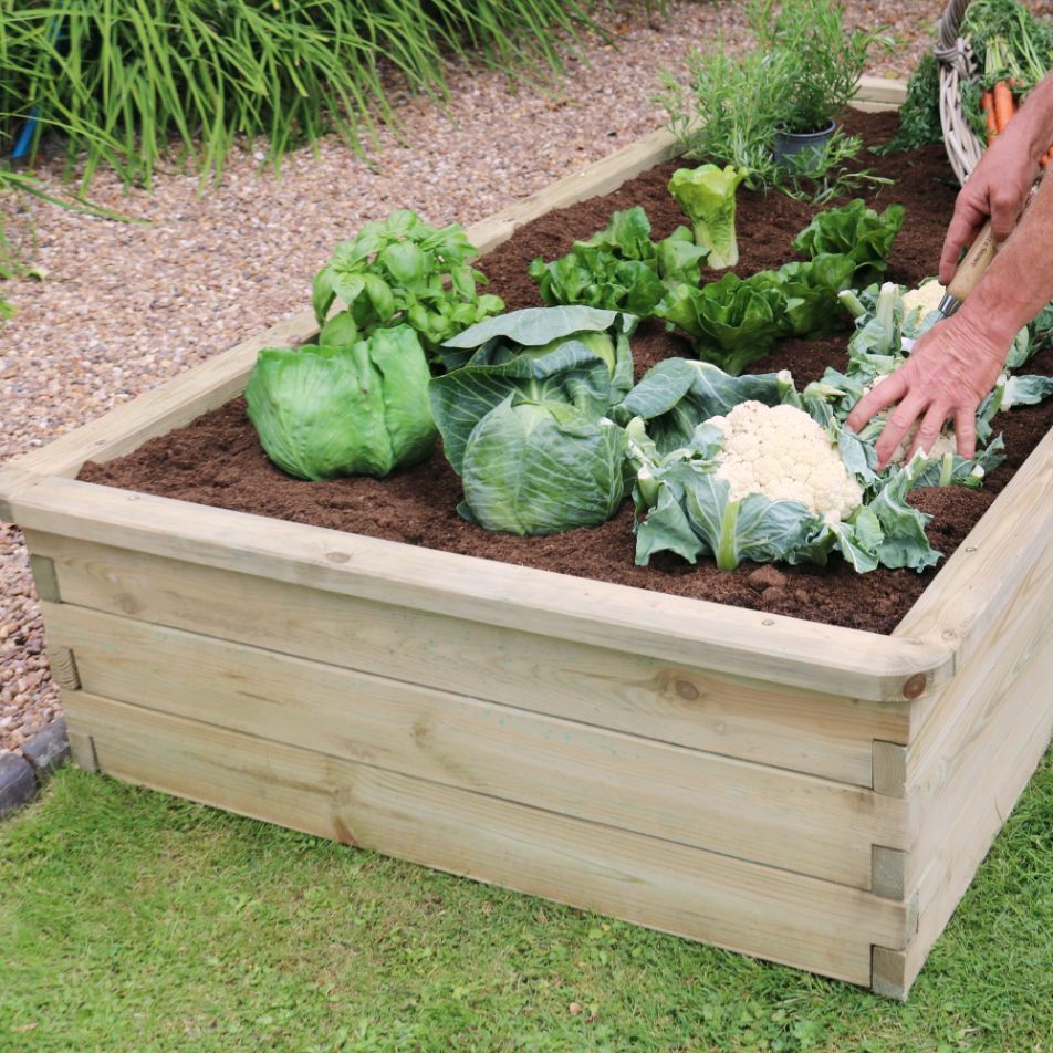 Low Sleeper Raised Bed