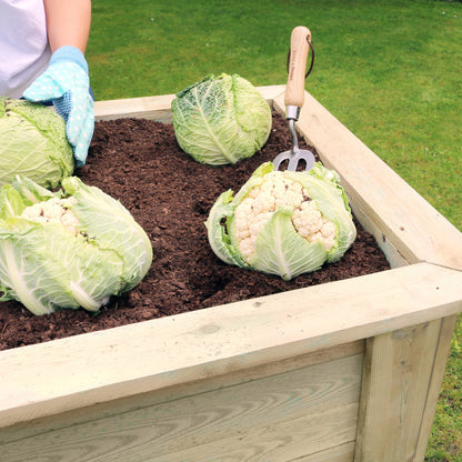 Deep Root Planter 1.8M