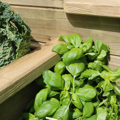 4 Tier Raised Bed