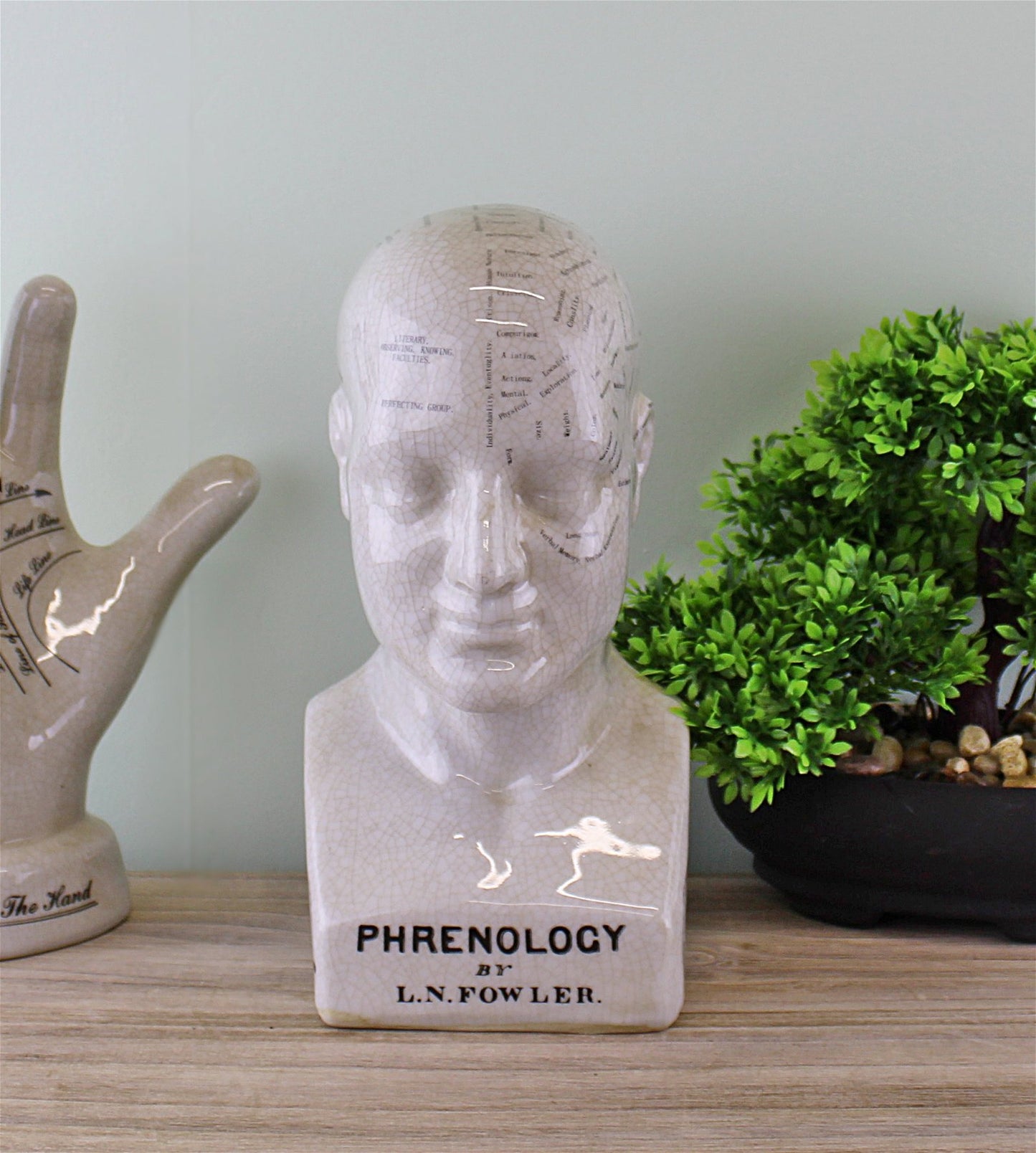 Medium Ceramic Phrenology Head, 25cm