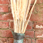Decorative Dried Pampas Grass 60cm