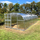 The Classic Polycarbonate Greenhouse