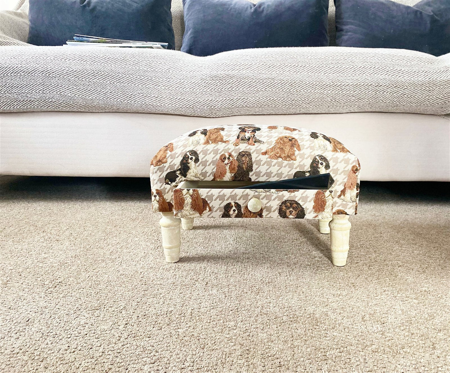 Dog Fabric Footstool with Drawer