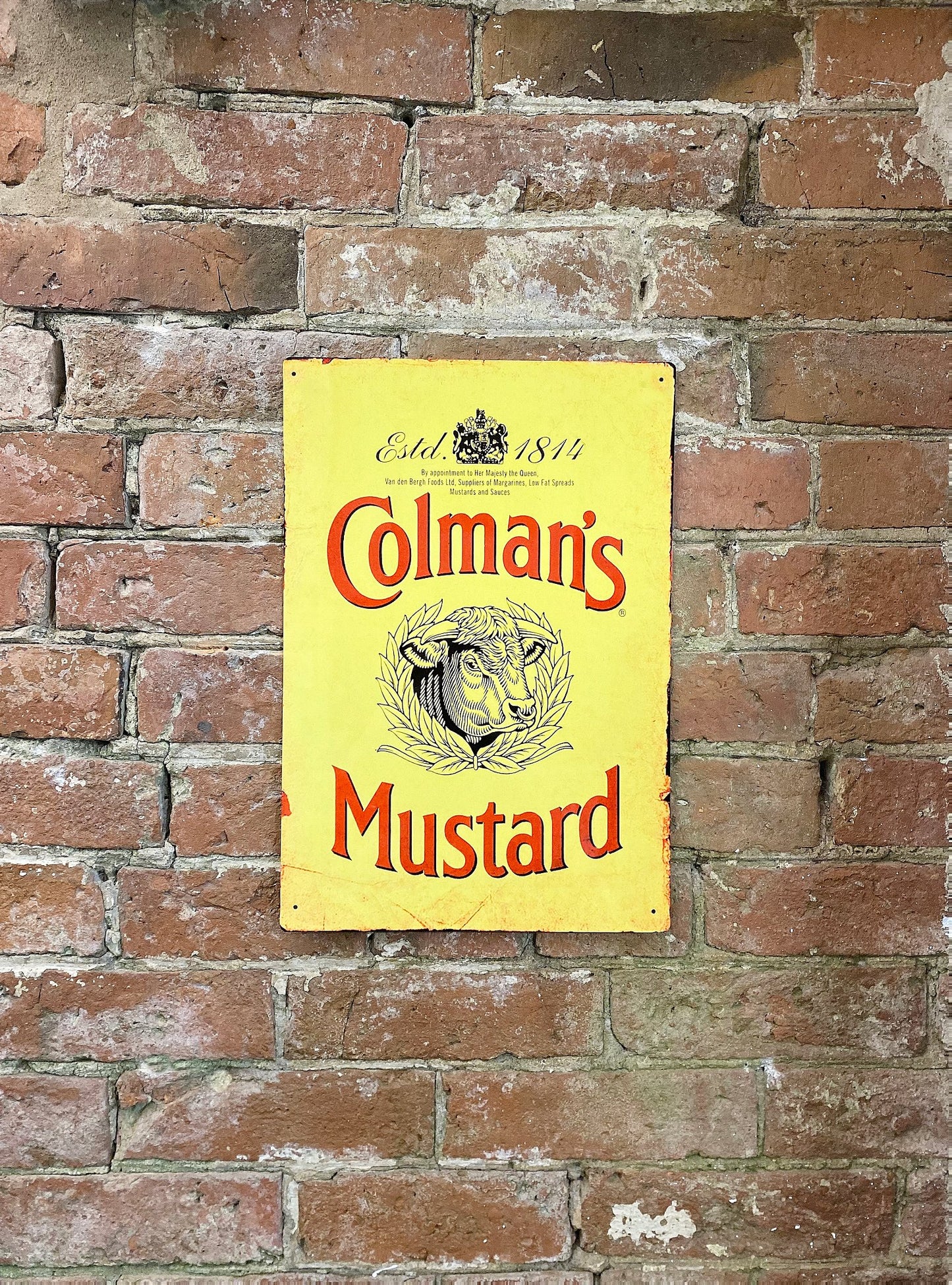 Metal Advertising Wall Sign - Colemans Mustard Yellow