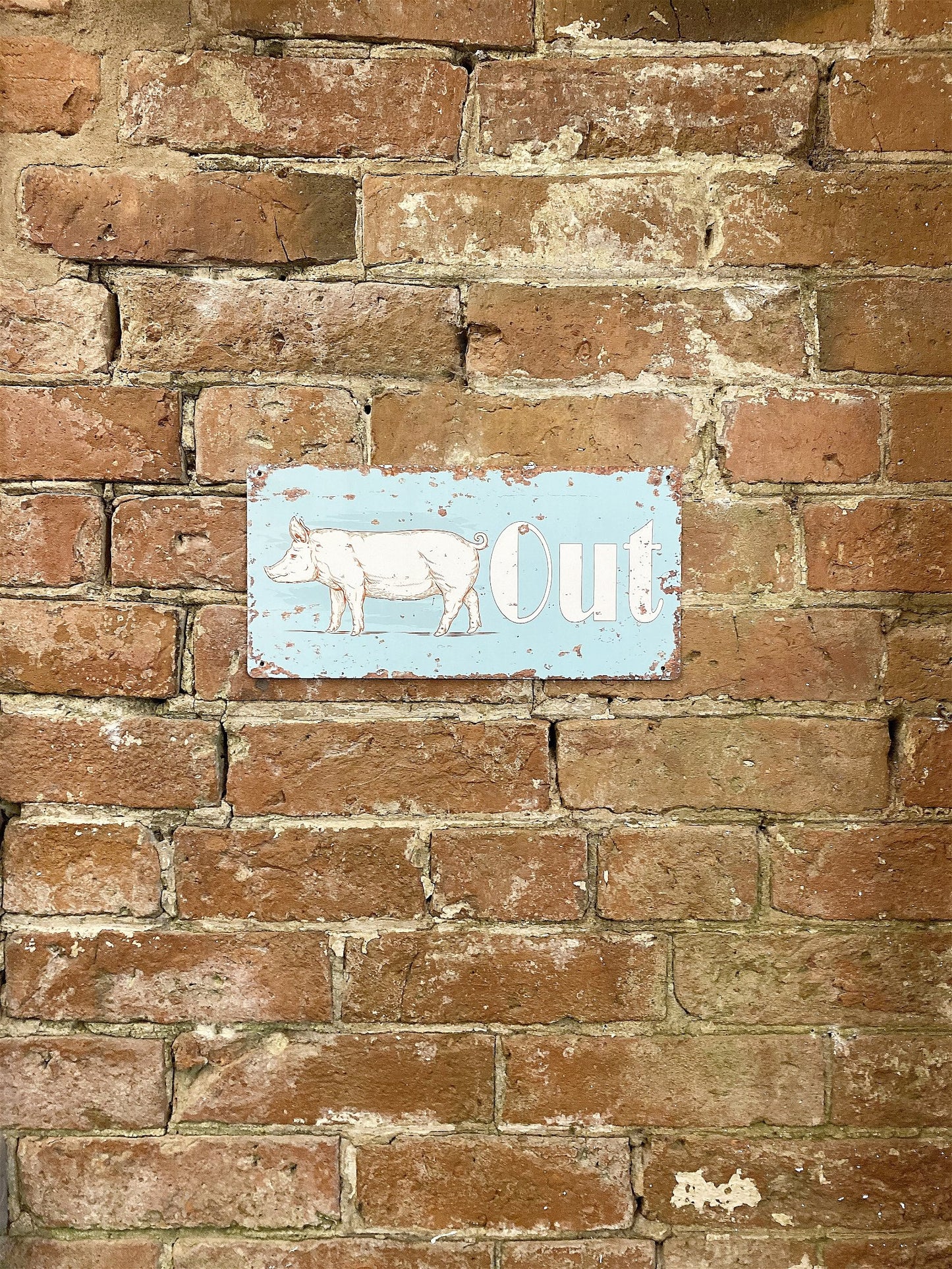 Kitchen Metal Wall Sign - Pig Out
