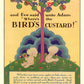 Vintage Metal Sign - Retro Advertising - Birds Custard, Adam & Eve