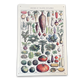 Vintage Metal Sign - Vintage Botanical Kitchen Vegetables Sign