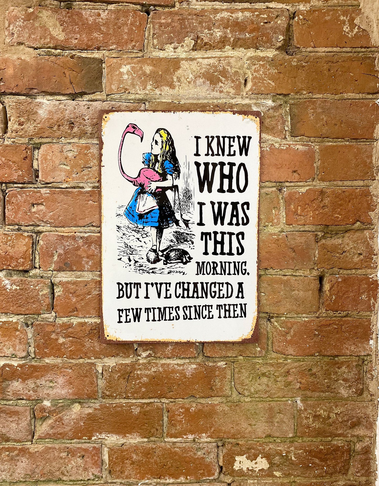 Vintage Metal Sign - Alice In Wonderland - I Knew Who I Was, But I've Changed