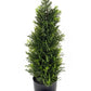 Cedar Topiary 58cm