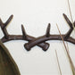 Rustic Cast Iron Wall Hooks, Stag Antlers, Large