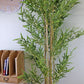 Artificial Bamboo Tree with 7 Real Bamboo Stems, 200cm