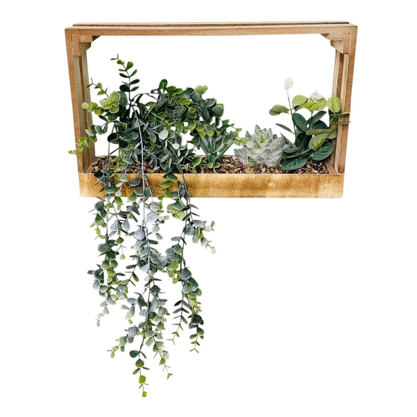 Modern Succulent Wall Crate Shelf