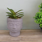 Small Faux Succulent in Buddha Head Pot