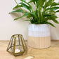 Bronze Glass Tea Light Holder Small