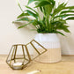 Bronze Glass Tea Light Holder Small
