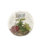 Succulent In Glass Terrarium with TeaLight Holder