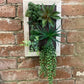 Artificial Succulents In Wooden Frame