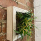 Artificial Succulents In Square Wooden Frame