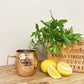 Moscow Mule Copper Coloued Cocktail Mug 12cm