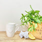 Heart Embossed Cream Mug 11cm