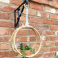 Faux Succulent In Bamboo Hanger