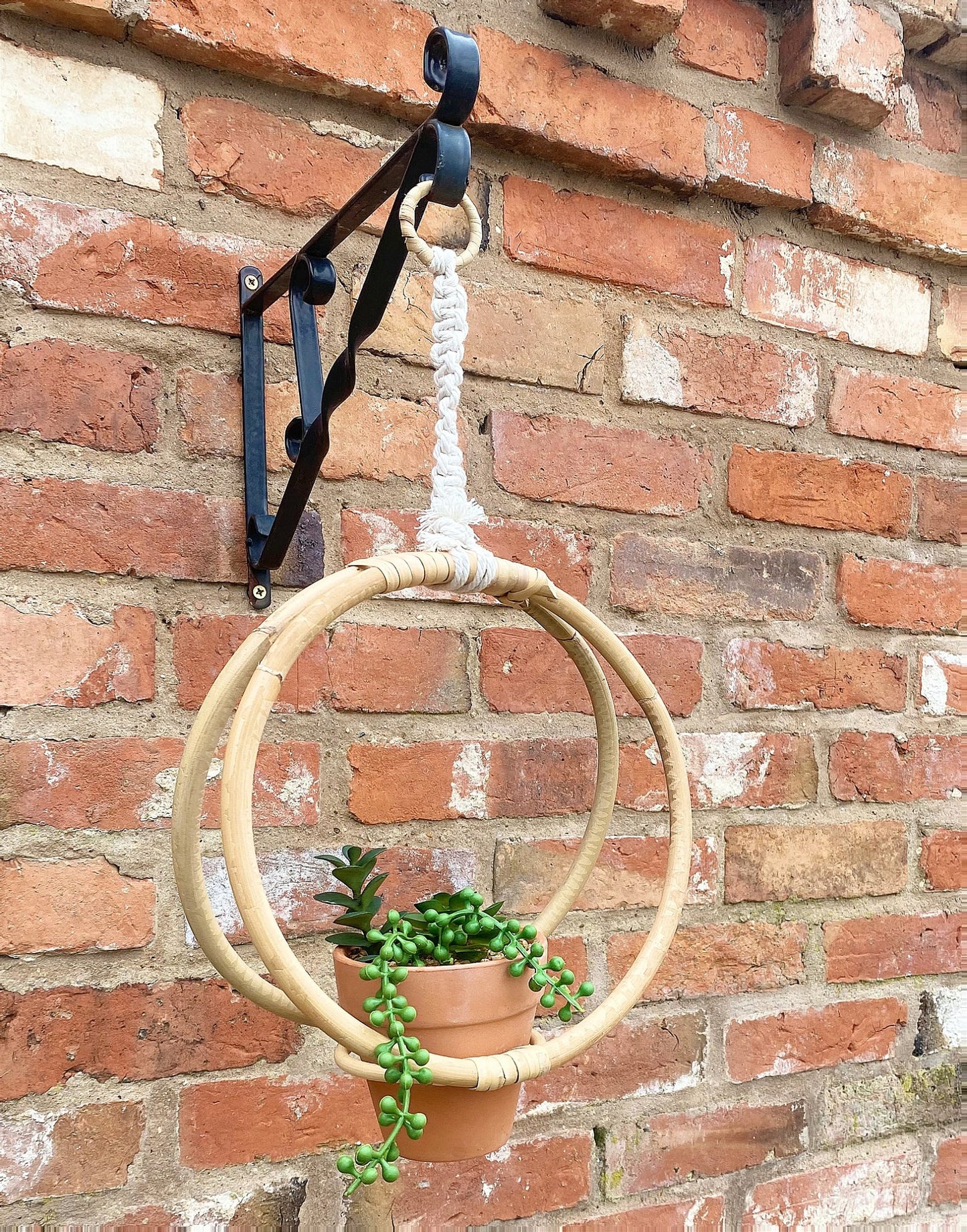 Faux Succulent In Bamboo Hanger