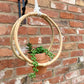 Faux Succulent In Bamboo Hanger