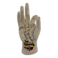 Palmistry Hand, Family, 22.5cm