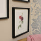 Set of Three Pink Rose Prints in Frames